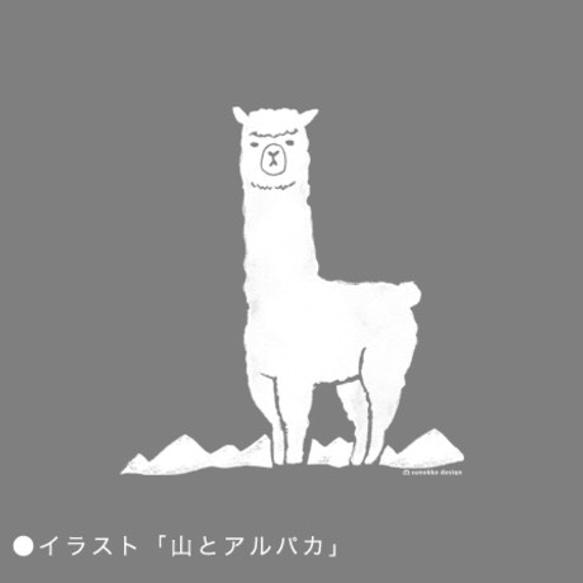 アルパカTシャツ【レディース/セージブルー】 3枚目の画像