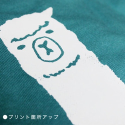 アルパカTシャツ【レディース/セージブルー】 4枚目の画像