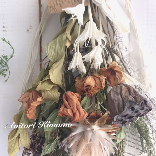 専用＊リューカデンドロン  ナチュラル　ドライフラワースワッグ ✼ドライフラワースワッグ✼【リューカデンドロン】 ドライ