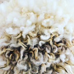 再販2種のクリクリ羊毛のハンギング 4枚目の画像