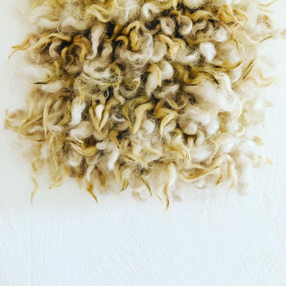 再販2種のクリクリ羊毛のハンギング 5枚目の画像
