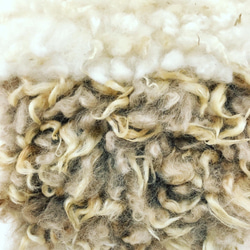 2種のクリクリ羊毛のハンギング　Ⅱ 6枚目の画像