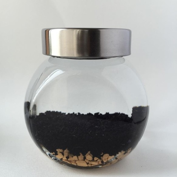 ボトルアクアリウム200ml　黒色 2枚目の画像