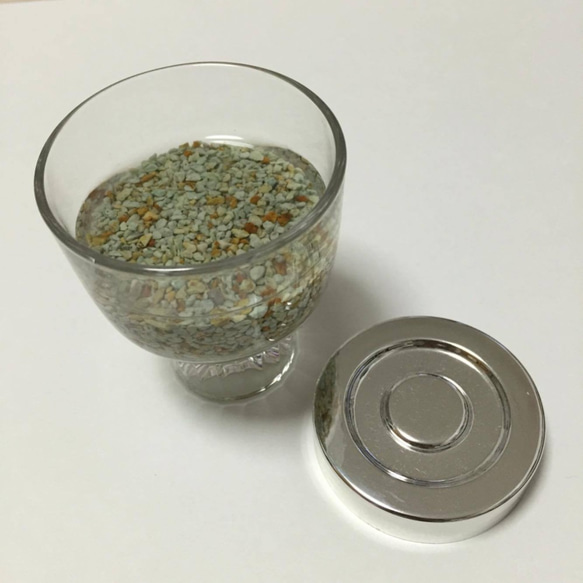 ボトルアクアリウム200ml 水草セット 白色 4枚目の画像