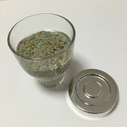 ボトルアクアリウム200ml 水草・石セット 単色 4枚目の画像