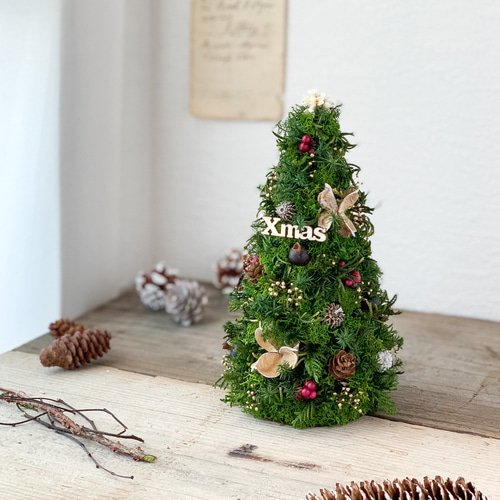 【受注生産】ドライフラワー クリスマスツリー 冬 クリスマス 受注生産】ドライフラワー クリスマスツリー 冬 クリスマス
