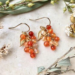 小さな木の実のピアス 14kgfフック カーネリアン ピアス（フック