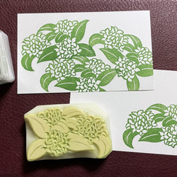 多肉植物『オウレイ』の消しゴムはんこ（持ち手つき） はんこ