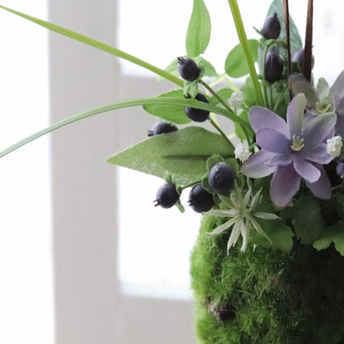 フェイクフラワー　苔玉 楽天市場】苔玉-紫陽花（黒台付き）和 モダン フェイクグリーン アート