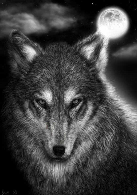 wolf （再販） 1枚目の画像