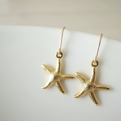 14kgf starfish hook pierces 1枚目の画像