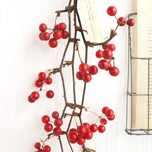 山帰来(サンキライ)のナチュラルスワッグ ドライフラワー La Chouette