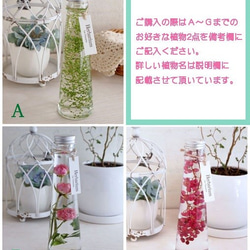 ハーバリウムボトル２本set♪ 2枚目の画像