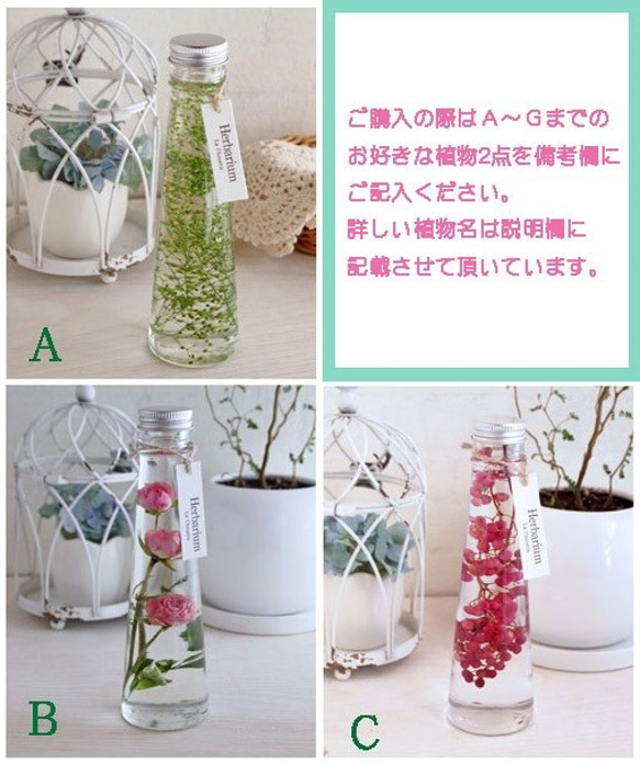 ハーバリウムボトル２本set♪ 2枚目の画像
