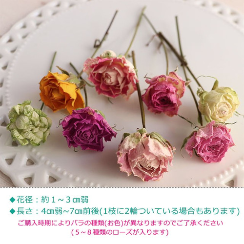 ミニバラ 30輪】ドライフラワー スプレーローズ詰め合わせ 花材 その他