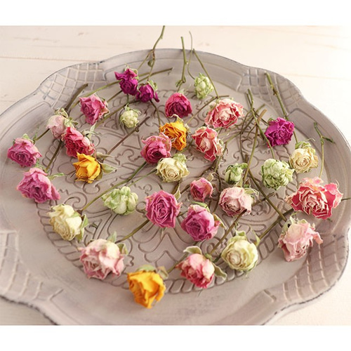 ミニバラ 30輪】ドライフラワー スプレーローズ詰め合わせ 花材 その他