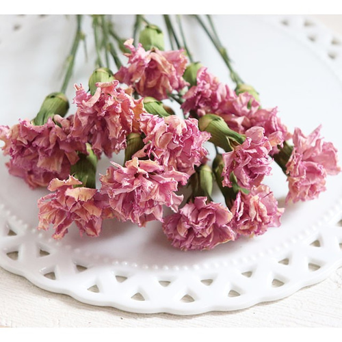 ドライフラワー】アンティークピンク くすみ系 カーネーション 母の日