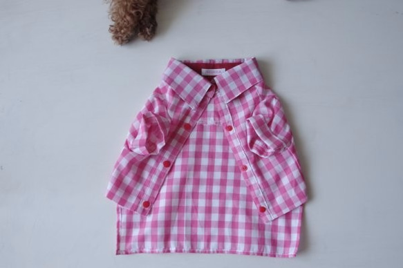 pinkpinkシャツ　M 3枚目の画像
