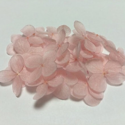 小さめ花びらピンクの紫陽花ヘッド 1枚目の画像