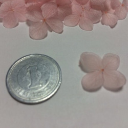 小さめ花びらピンクの紫陽花ヘッド 2枚目の画像