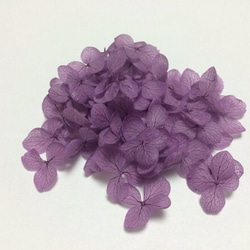 小さめ花びらパープルの紫陽花ヘッド 1枚目の画像