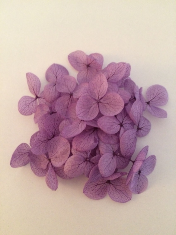 小さめ花びらパープルの紫陽花ヘッド 3枚目の画像