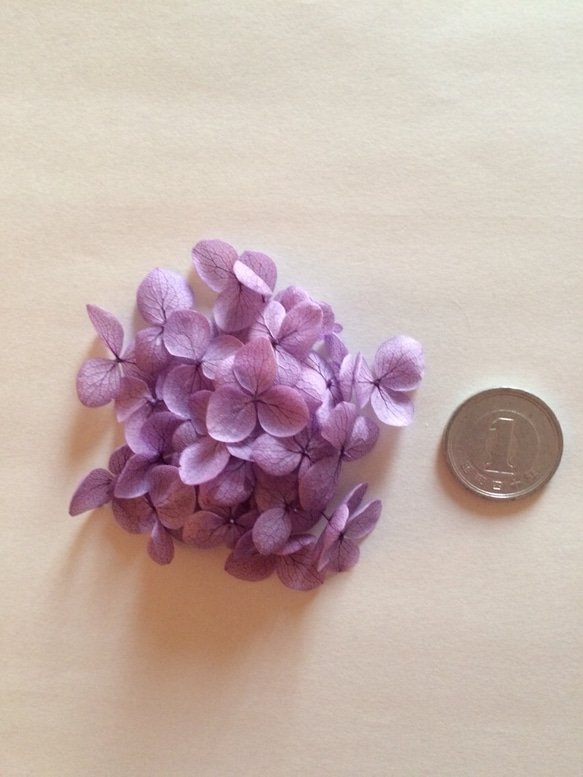 小さめ花びらパープルの紫陽花ヘッド 4枚目の画像