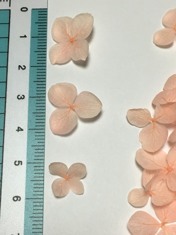 小さめ花びらピーチの紫陽花ヘッド 2枚目の画像