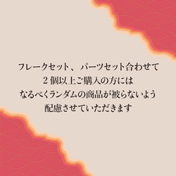 【福袋】ハッピースタンド！オリジナル福袋♪ フレークセット 4枚目の画像