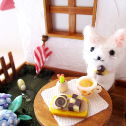 雨上がりのお茶会　白猫さん 2枚目の画像