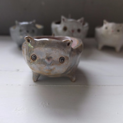 【陶】貓咪陶盆-灰粉貓 第2張的照片