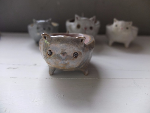 【陶】貓咪陶盆-灰粉貓 第2張的照片