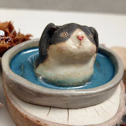 【陶】泡澡的賓士貓說 : 抱抱我 第5張的照片
