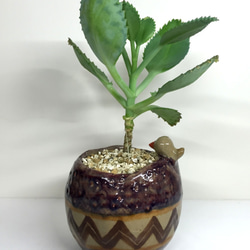 シークレットガーデン] [R512ハンドメイド植物/多肉植物/オフィスのXiaopenで鍋を癒します 4枚目の画像