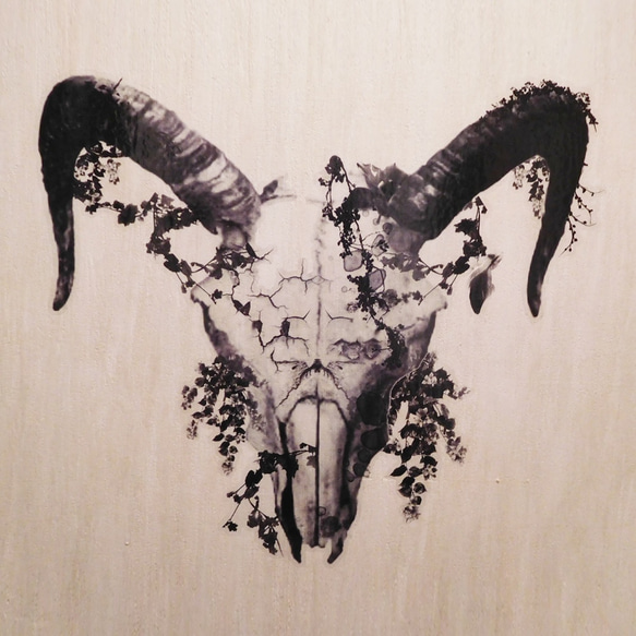 Wall Sheet「Buffalo Skull」 3枚目の画像