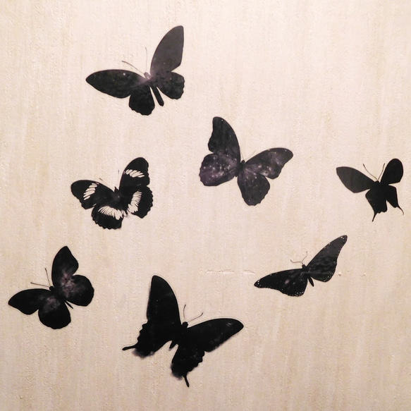 Wall Sheet「seven butterfly」 3枚目の画像