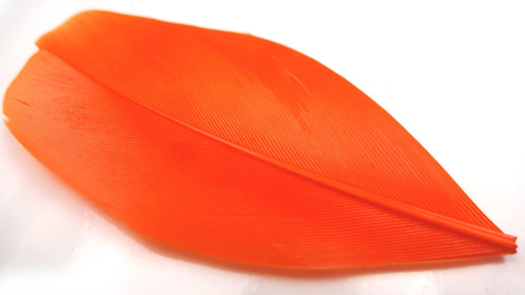 【10枚】フェザー★ガチョウ/オレンジ 橙★染め 羽根 装飾 ピアス イヤリング 3枚目の画像