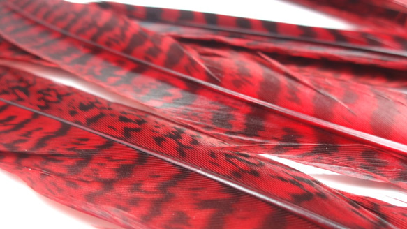 フェザー 10枚セット★レッド 赤★染め 羽根 キジ 装飾 3枚目の画像
