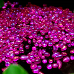 玻璃粒10g★紅紫★極光種子★樹脂封裝材料/玻璃/沙邦球/碎玻璃 第3張的照片