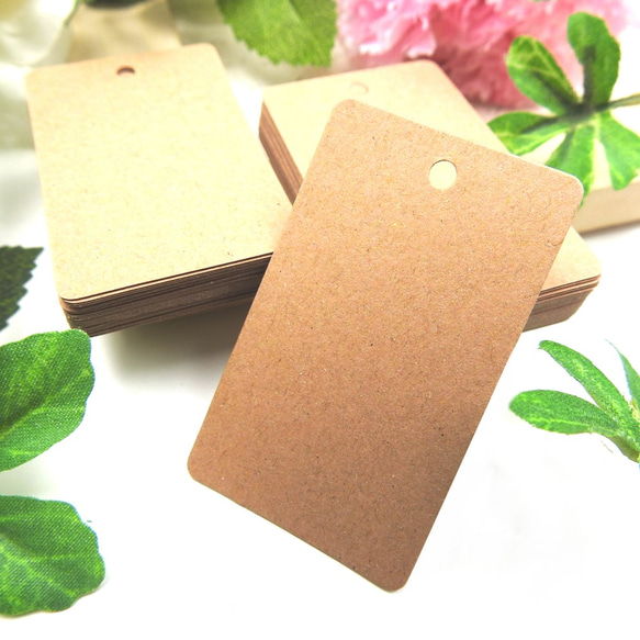 U-049 ペーパータグ☆クラフト 茶☆50枚 30×50mm 無地 台紙