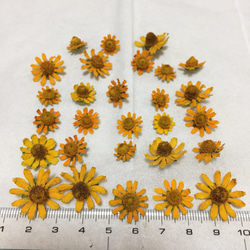 レジン ヘアゴム イエロー 花かんざし ミニひまわり ドライフラワー レジン ヘアゴム イエロー 花かんざし ミニひまわり ドライ