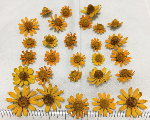 0_bd19c1e849afcc92c5c14fadc283