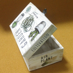 木製ジュエリーボックス　サボテン　多肉植物　ガーデニング 2枚目の画像