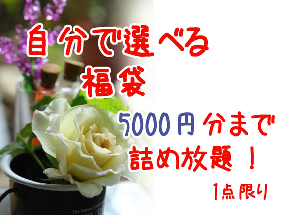 新春企画✧自分で選べる！天然石福袋✿5000円分詰め放題　送料込み 1枚目の画像