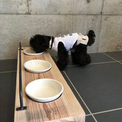 数量限定 　AM3　体型に合わせてオーダーメイド　フードテーブル　犬食器　猫食器　フードボール　ペット　犬　フード台 1枚目の画像