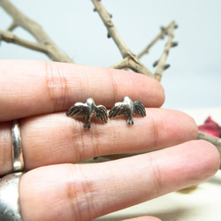 純銀小鳥耳環/飛鳥 IONA SILVER 第3張的照片
