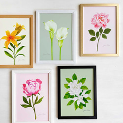 花々のアートポスター｜ 芍薬、カラー、クチナシ、百合、バラ （A4サイズ / １枚〜） 1枚目の画像