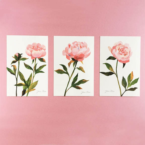 花卉明信片，一套8張｜時令花卉（牡丹、瑪格麗特、向日葵、野花） 第3張的照片