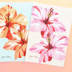 8張鮮花明信片｜熱帶花卉（芙蓉、雞蛋花、夜之女王） 第3張的照片