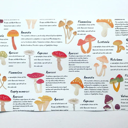 オリジナル　デザインペーパー　natural mushroom ホワイト　A4   10枚 2枚目の画像